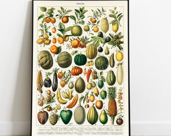 Digital, 1800s, French Botanical Fruit Poster, Vintage Fruits, INSTANT DOWNLOAD, Farmhouse, Kitchen Print, Nouveau Larousse, Adolphe Millot