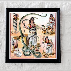 Può includere: Illustrazione vintage di donne che si esibiscono con i serpenti. Le donne sono vestite con abiti colorati e tengono i serpenti in varie pose. L'illustrazione è ambientata sullo sfondo di una scatola di legno e un serpente verde.