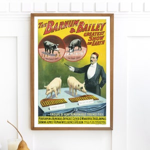 Numérique, 1898, Barnum & Bailey Circus Poster, Clever Pigs Performing Tricks, Xylophone Playing, Bell Ringing, Card Playing Pigs