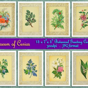 Numérique, années 1800, Ensemble de 15 cartes de vœux botaniques, Fleur 7 » x 5 », TÉLÉCHARGEMENT INSTANTANÉ, primevère, houx, gui, violette, pervenche, rose