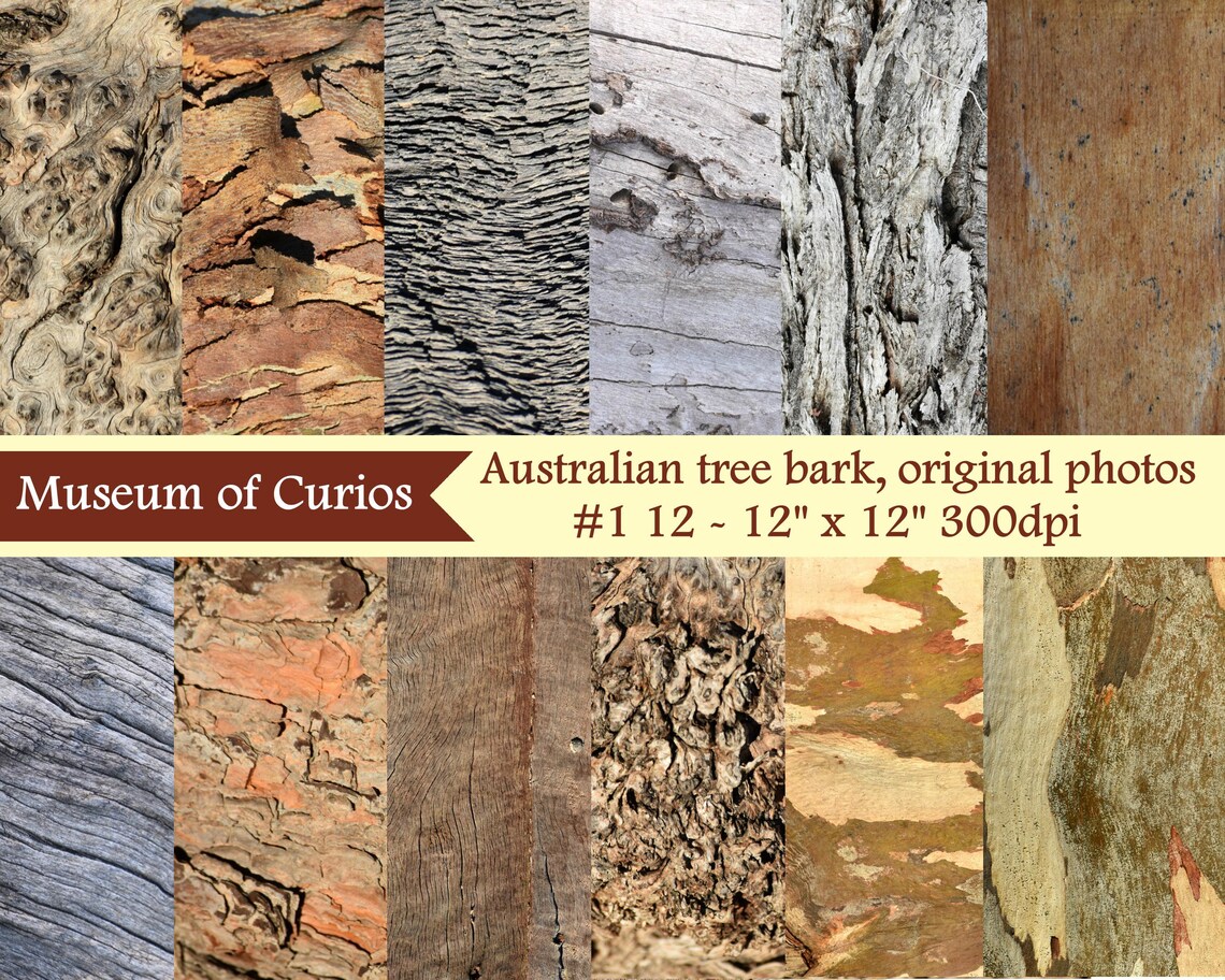Cork and bark picture