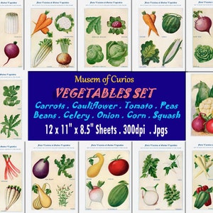 Digital, 1915, Vegetables, Thomas E Hill, Watercolor paintings, kitchen, farmhouse prints, INSTANT DOWNLOAD