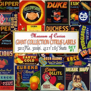 Digital, 1930-1950, SET 1, Giant Collection, 320 x Florida Crate Fruit Labels, Citrus, Oranges, Lemons, Sweet Corn, INSTANT DOWNLOAD