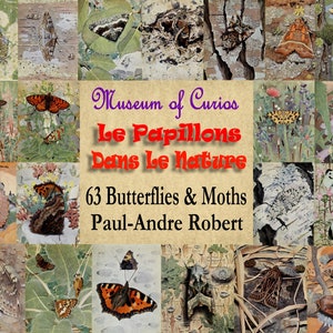 Digitaal, 63 Vlinders & Motten, 1934 'Le Papillons dans le Nature', Paul-Andre Robert, INSTANT DOWNLOAD, insect ephemera