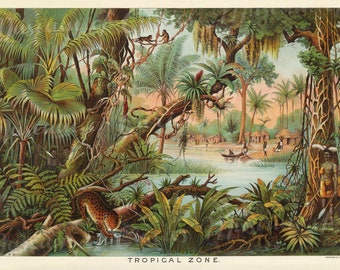 1893, Digital print, Tropical Zone, chromolithograph, educational chart, Africa, INSTANT DOWNLOAD, printable Jungle scene