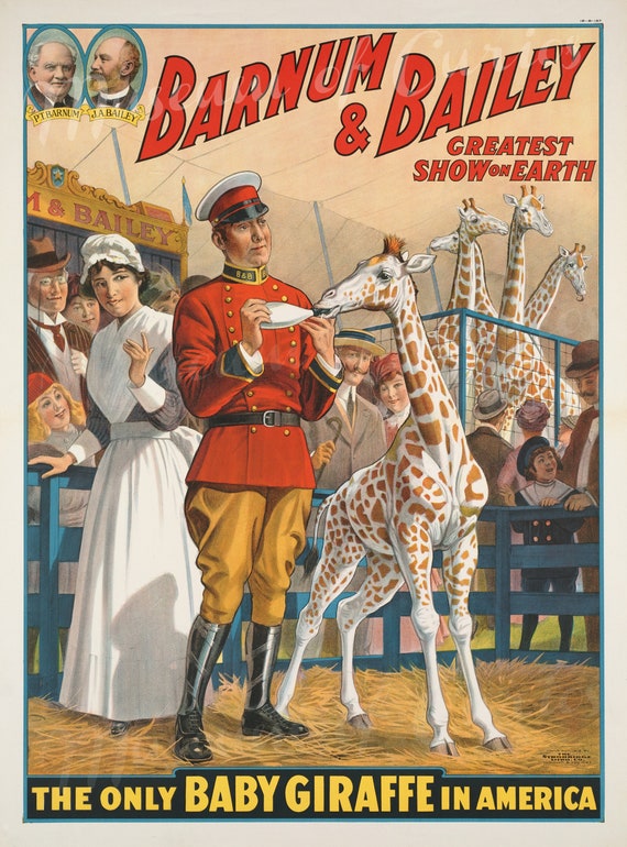 1916 Barnum & Bailey Circus Poster: Baby Giraffe Print (digital