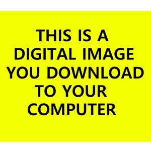 May include: A yellow background with black text that reads "THIS IS A DIGITAL IMAGE YOU DOWNLOAD TO YOUR COMPUTER."