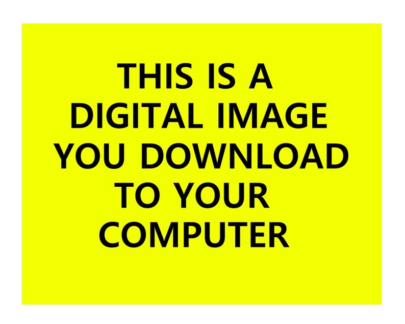 May include: A yellow background with black text that reads "THIS IS A DIGITAL IMAGE YOU DOWNLOAD TO YOUR COMPUTER."