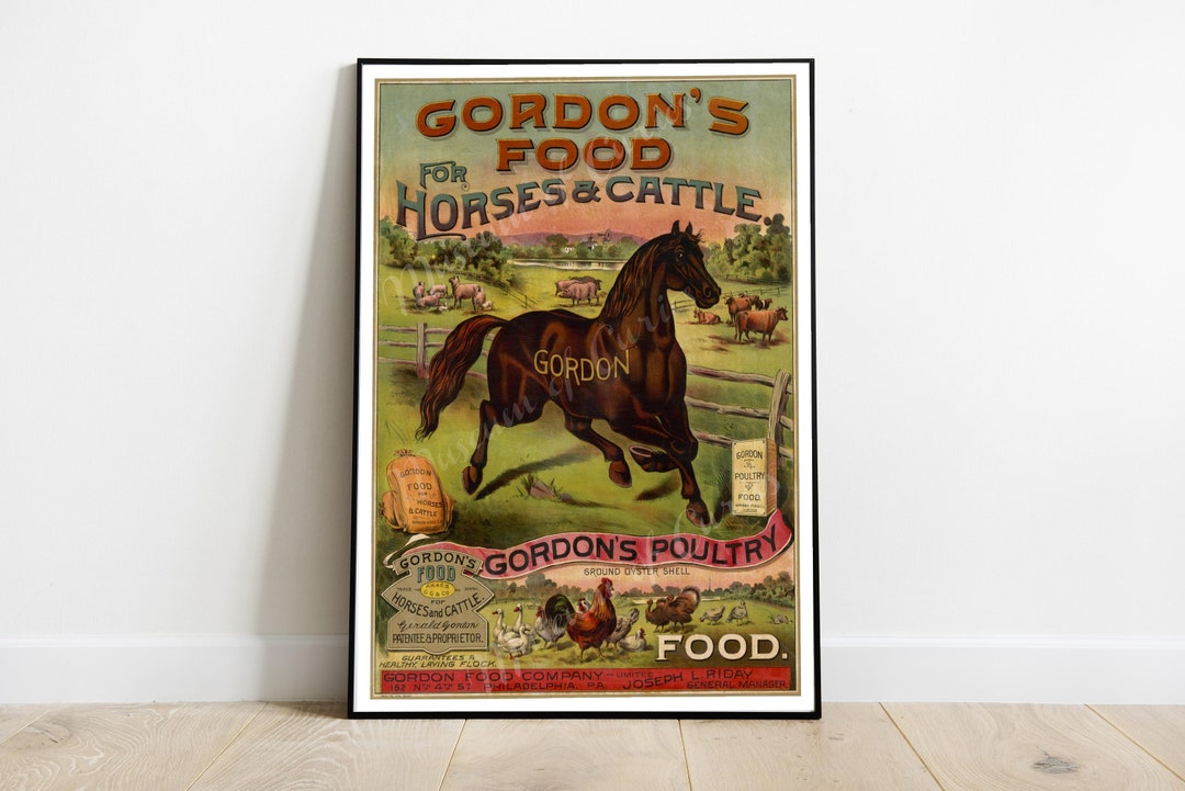 Digital, Gordon's Food for Horses and Cattle/ Chromolithograph 1800s