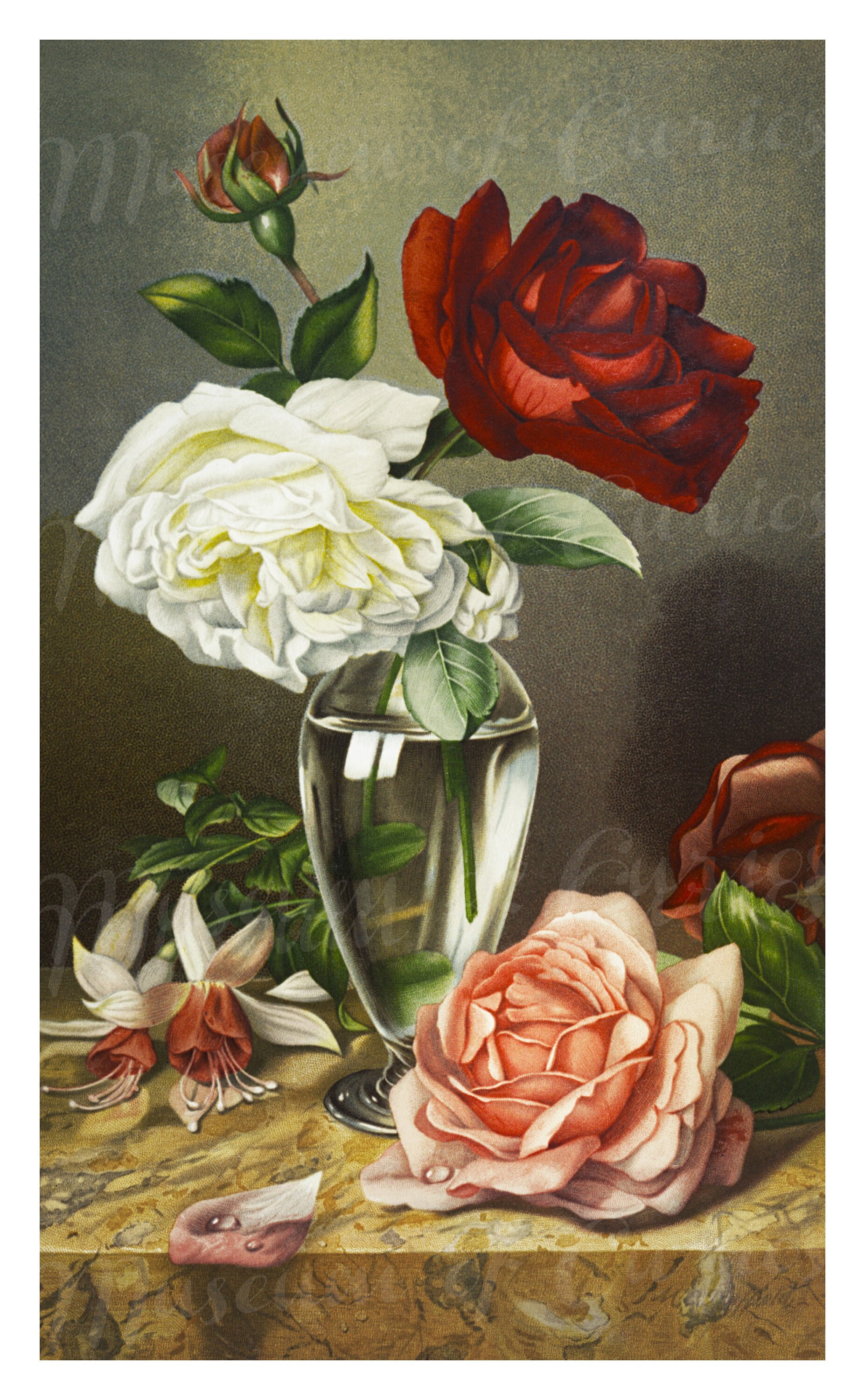 Digital, White, Red, Pink Roses in a Vase, Still Life, INSTANT DOWNLOAD