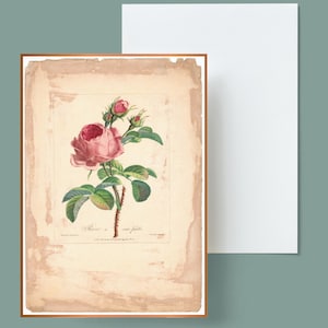 Digital, 1800, TARJETA rosa holandesa, DESCARGA INSTANTE, Flor rosa, arte floral, tarjeta de felicitación, imprimir su propia, San Valentín, Día de la Madre