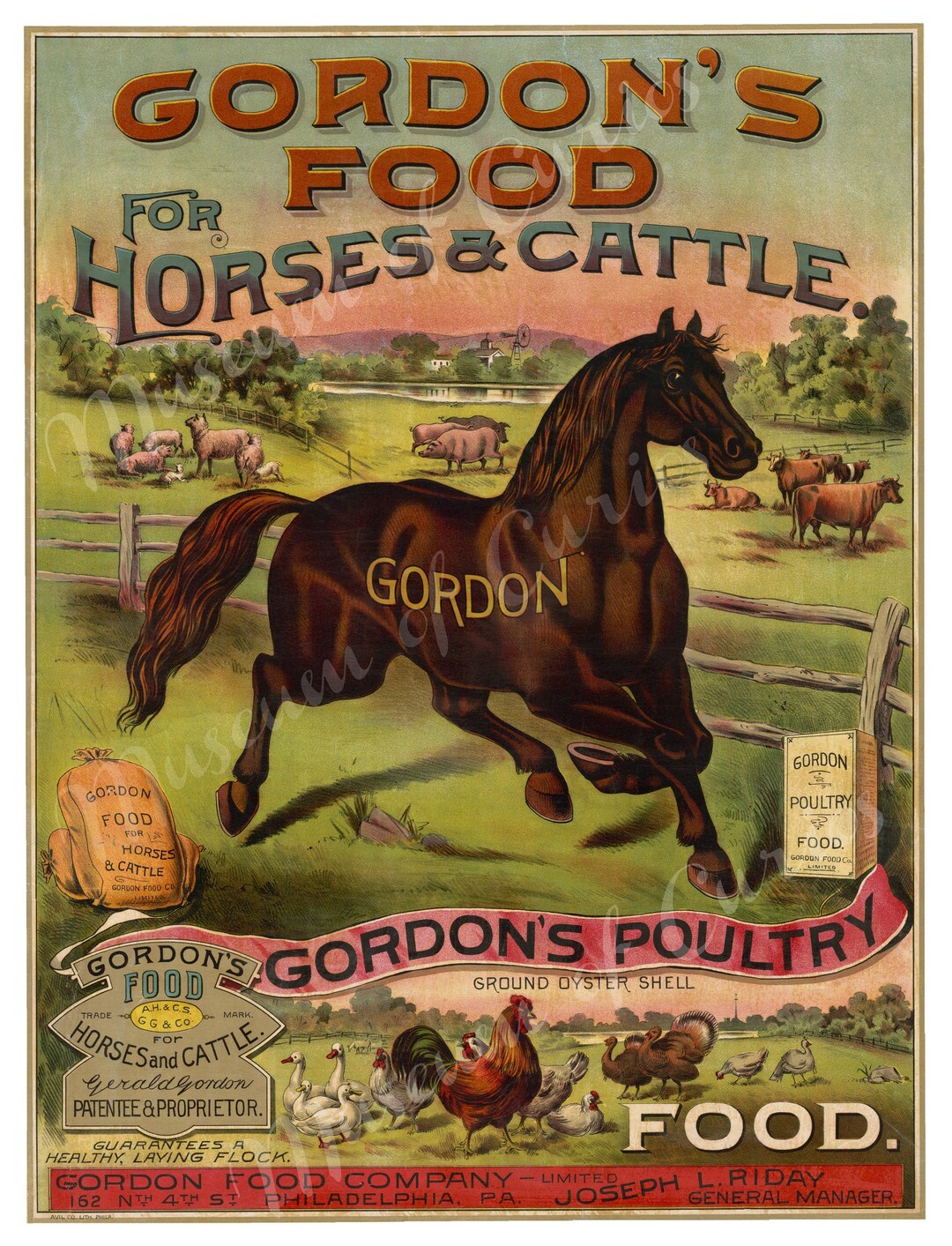 Digital Gordon's Food for Horses and Cattle/ Etsy