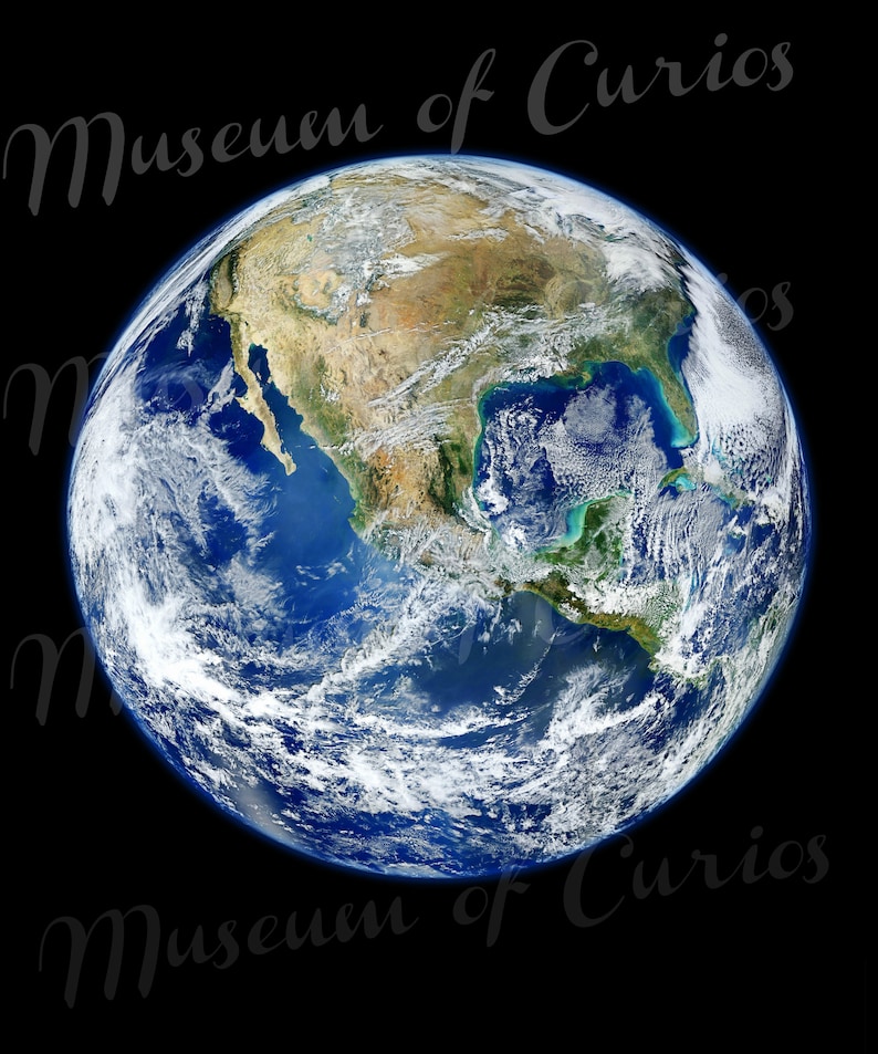 May include: A blue and green globe with white clouds, showing North America and the surrounding oceans. The text "Museum of Curios" is written in a cursive font around the globe.
