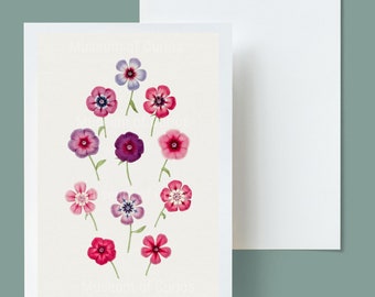 Digital, 1800s, Phlox Flowers, INSTANT DOWNLOAD, Pink Floral, Greeting card design