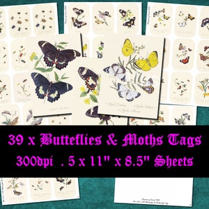 Digital, 1800s, 39 x Butterflies & Moths Tag Collection, Tags, INSTANT DOWNLOAD, Printable Craft Ephemera, Collage Sheets