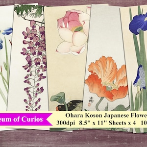 Feuilles de collage de fleurs japonaises Ohara Koson (téléchargement numérique)