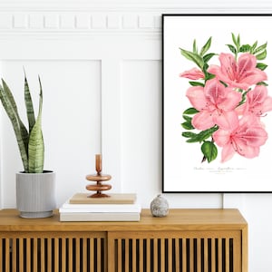 Digital, 1800s, Azalea indica gigantiflora, INSTANT DOWNLOAD, printable home decor, vintage pink flower, three sizes