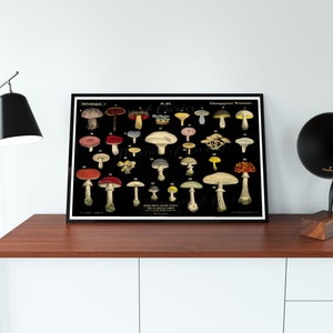 May include: Vintage botanical illustration of various mushrooms on a black background. The illustration is labeled with the French words "Champignons Veneneaux" and "Etrangeres".