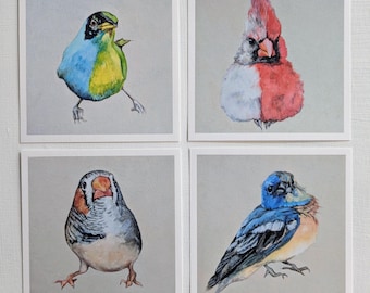 Huellas de aves ginandromorfas