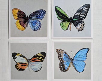 Estampados de mariposas ginandromorfas