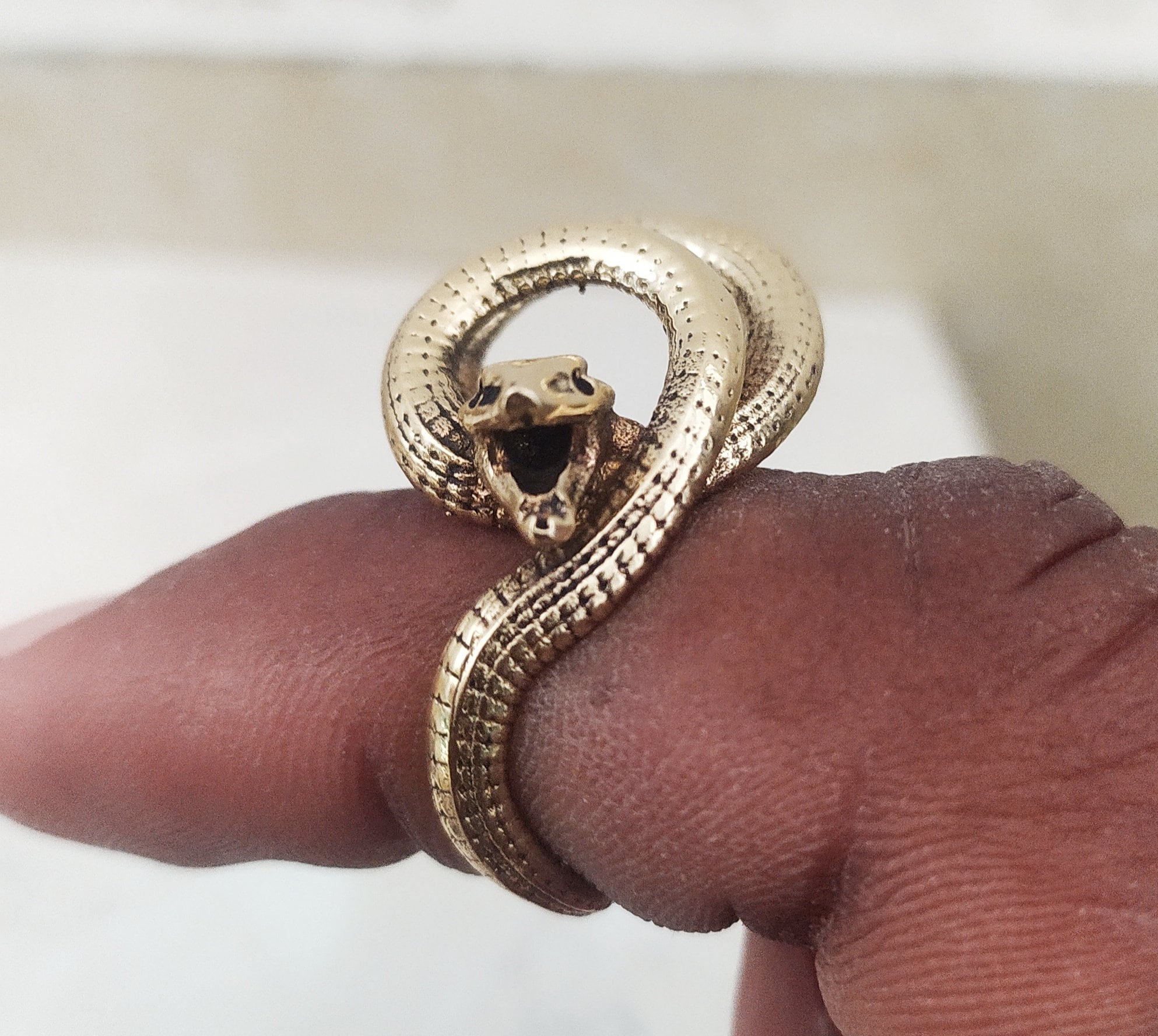 Snake Ring Symbolism