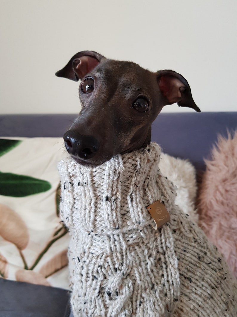 Italian Greyhound Clothes. Wool Sweater. Size S - Etsy