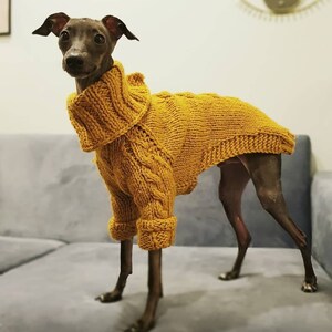 Italian Greyhound clothes. Wool sweater. size S