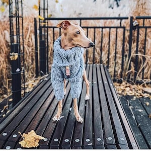 Italian Greyhound clothes. Wool sweater. size S