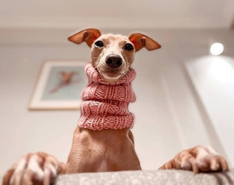 Small Dog Snood / Scarf. Neck Warmer - Italian Greyhound