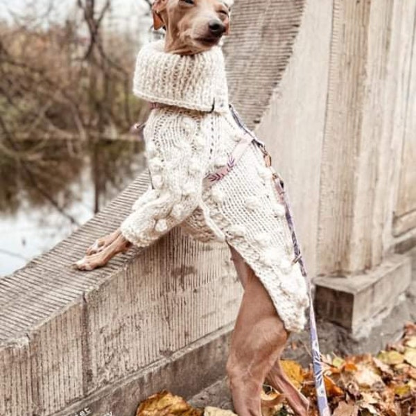 Vêtements de lévrier italien. Pull en laine. taille S