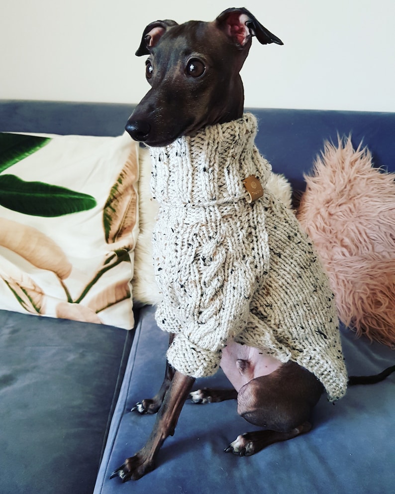 Italian Greyhound Clothes. Wool Sweater. Size S Etsy