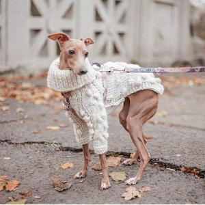 Italian Greyhound clothes. Wool sweater. size M