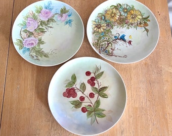 3 Hand Painted 10"Di Ceramic Plates, Floral and Fruit Pattern Collectible Plates, Haviland? France