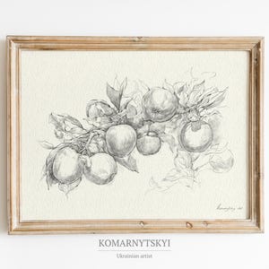 Könnte beinhalten: Gerahmte Bleistiftzeichnung von Äpfeln an einem Ast. Das Kunstwerk zeigt detaillierte Schattierungen und Highlights, wobei die Früchte und Blätter in Graustufen dargestellt sind. Der Rahmen ist hellbraun und der Hintergrund cremefarben.