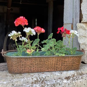 Puede incluir: Una jardinera rectangular alargada de cobre con textura martillada y una pátina verde desgastada en el borde interior. La jardinera contiene varios geranios de hojas verdes con racimos de flores rojas y blancas en plena floración.