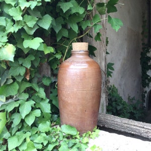 Op de afbeelding: Een bruine keramische fles met een kurken stop, die voor een muur staat die bedekt is met groene klimop.