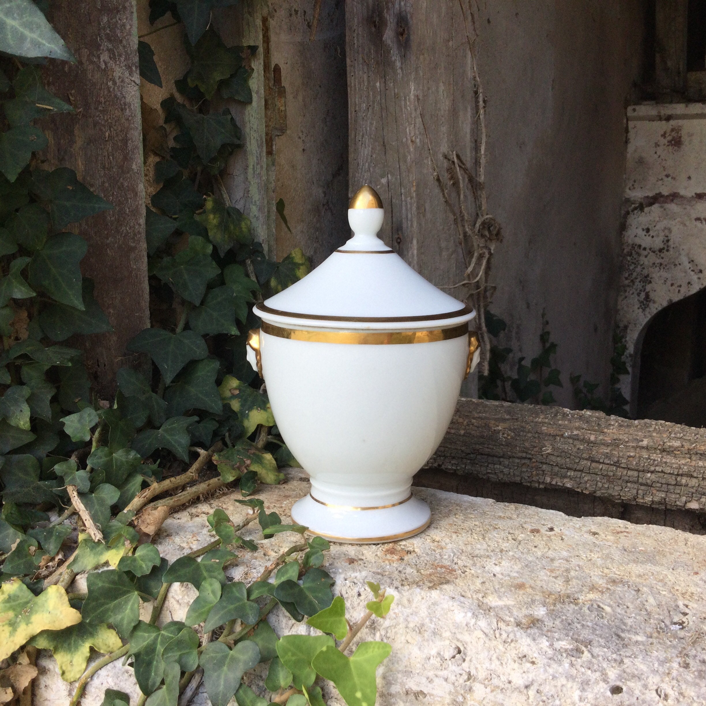 Sugar Bowl/Bidon Et Couvercle