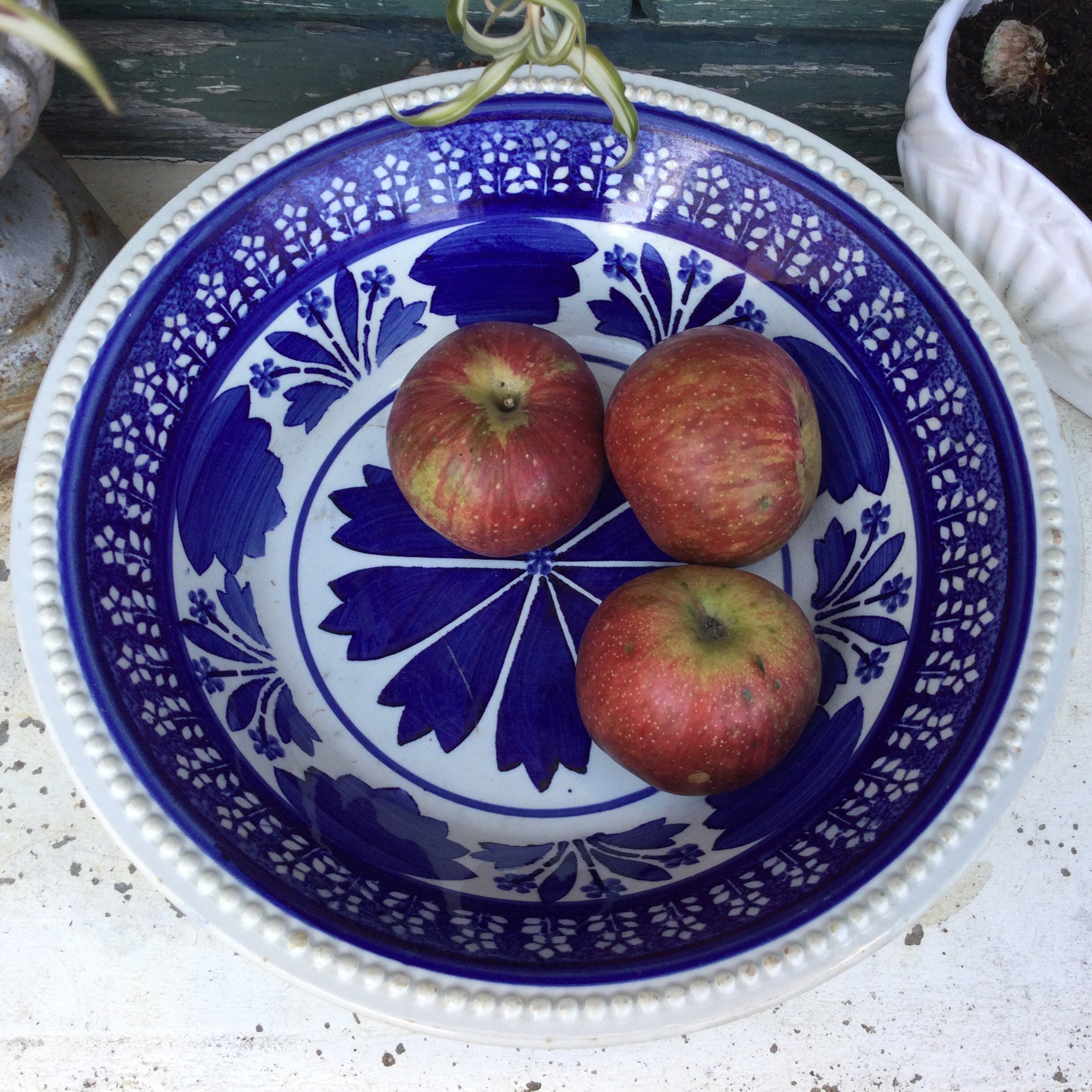 Saisissant Grand Bol Antique Bleu et Blanc Choisy Le Roi de Présentation Français Décor Champêtre