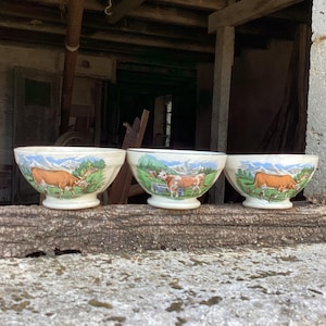 3 little Digoin cafe au lait bowls/antique breakfast bowls/serving bowls/3 decorative bowls/French vintage ceramics/French farmhouse