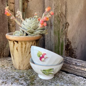 2 little cafe au lait bowls/breakfast bowls/serving bowls/2 decorative bowls/French vintage ceramics/French tableware/French farmhouse