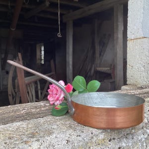 May include: A copper pan with a long silver handle. The pan is sitting on a rough, gray surface. Pink roses are in the background.