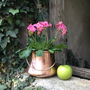 May include: Pink flowers in a copper pot with a brass handle. The pot is sitting on a stone surface next to a green apple.