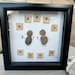Shadow Box Rock Art - Etsy