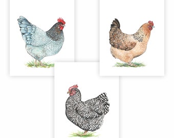 Chicken Art Etsy