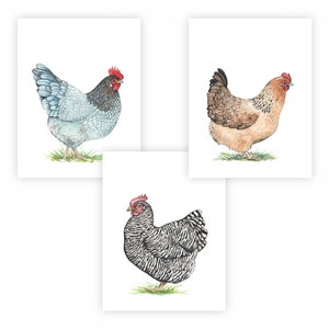 Chickens - UNFRAMED 3 Print Set Watercolor Art Print by Fanny Dallaire, High quality reproductions on 8.5x11" Matte 170 GSM Paper