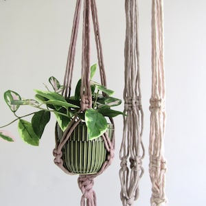 May include: A hanging macrame plant holder in shades of mauve, taupe, and cream, supporting a green ceramic pot with a plant. The plant has green leaves with pink and white edges. The macrame has a knotted design.