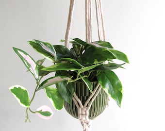 Suspension pour plante en macramé beige, longueur 75 cm, autres couleurs