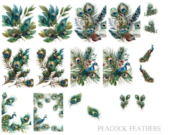 Peacock Feathers Waterslide Nail Decals