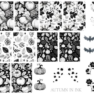 May include: A collection of black and white digital illustrations featuring autumn themes including pumpkins, various leaves, berries, pinecones, flowers, and bats. The set includes repeating patterns and individual motifs with the text AUTUMN IN INK.