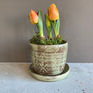 Pfanztopf Blumentopf Übertopf Keramik Handmade Gedreht Getöpfert Grün Klein Zum Direkt Reinpflanzen Plastikfrei Primel Kräuter 9 cm